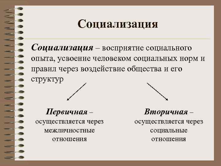 Социализация – восприятие социального опыта, усвоение человеком социальных норм и правил через воздействие общества