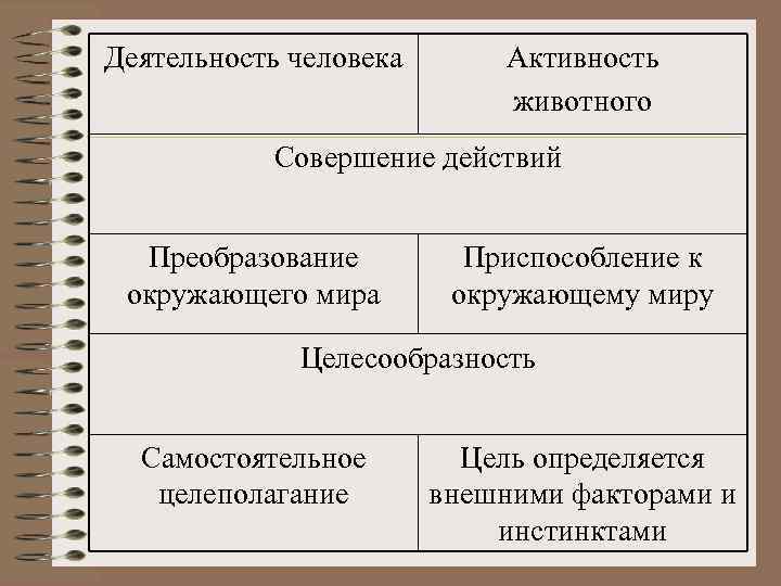 Деятельность человека Активность животного Совершение действий Преобразование окружающего мира Приспособление к окружающему миру Целесообразность