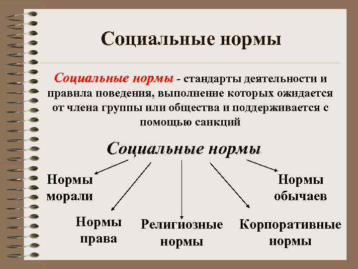 Правила поведения образцы стандарты деятельности выполнение которых связано с ожиданиями общества