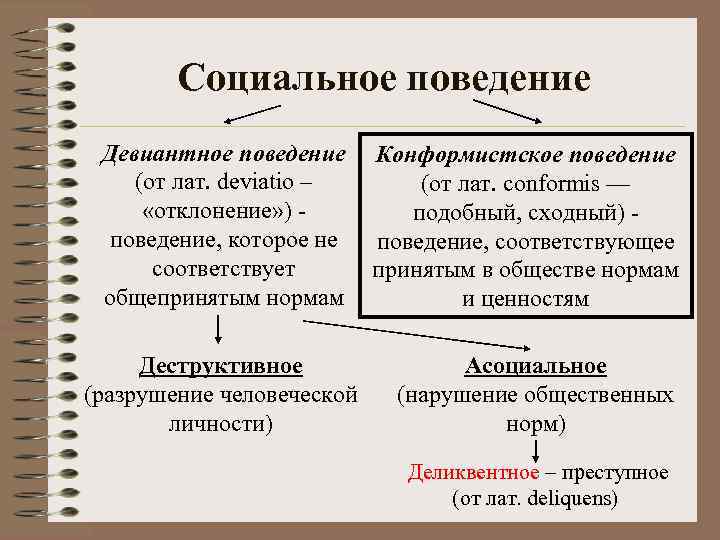 Социальное поведение Девиантное поведение (от лат. deviatio – «отклонение» ) поведение, которое не соответствует
