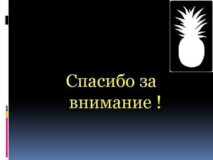 Спасибо за внимание ! 