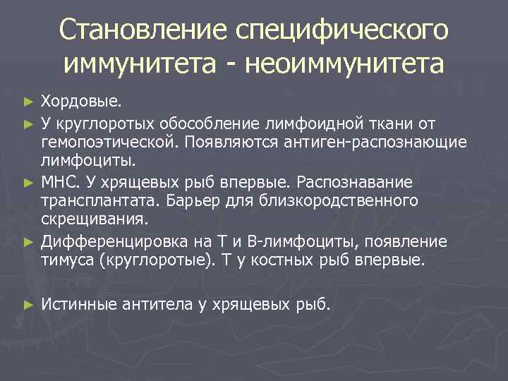 Становление специфического иммунитета - неоиммунитета Хордовые. ► У круглоротых обособление лимфоидной ткани от гемопоэтической.
