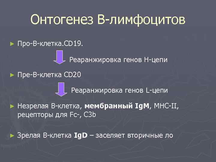 Онтогенез В-лимфоцитов ► Про-В-клетка. СD 19. Реаранжировка генов Н-цепи ► Пре-В-клетка СD 20 Реаранжировка