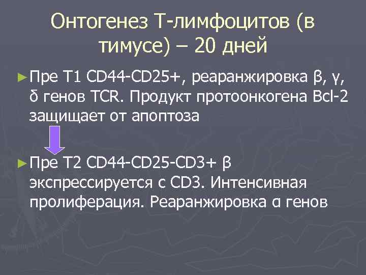 Онтогенез Т-лимфоцитов (в тимусе) – 20 дней ► Пре Т 1 СD 44 -CD