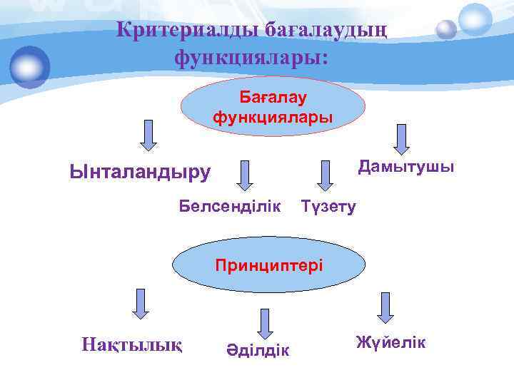 Критериалды бағалаудың функциялары: Бағалау функциялары Дамытушы Ынталандыру Белсенділік Түзету Принциптері Нақтылық Әділдік Жүйелік 