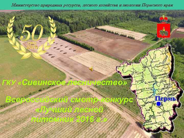 Министерство природных ресурсов, лесного хозяйства и экологии Пермского края ГКУ «Сивинское лесничество» Всероссийский смотр-конкурс