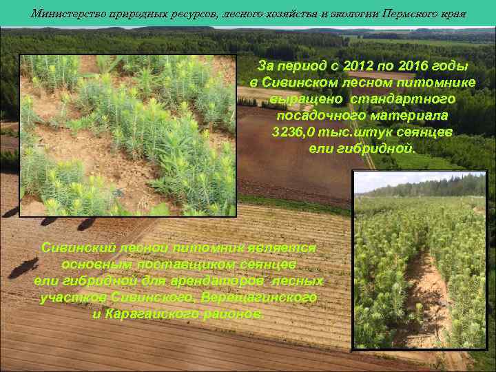 Министерство природных ресурсов, лесного хозяйства и экологии Пермского края За период с 2012 по