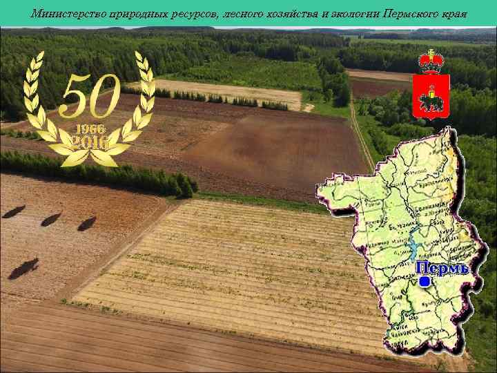 Министерство природных ресурсов, лесного хозяйства и экологии Пермского края 
