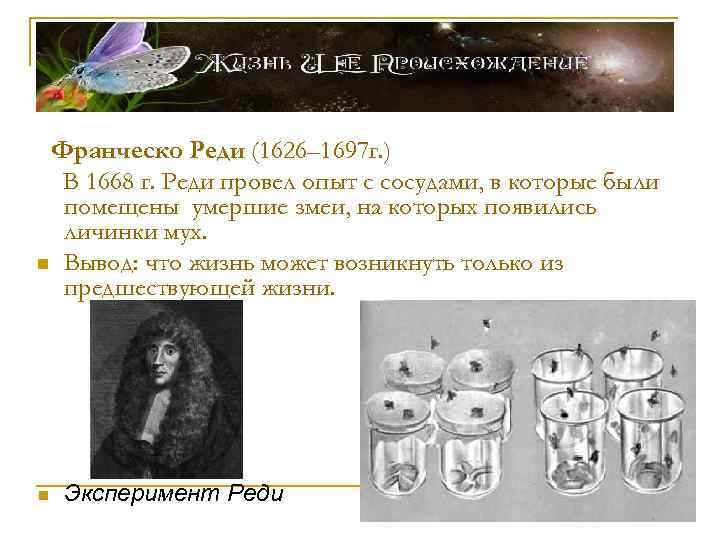 Франческо Реди (1626– 1697 г. ) В 1668 г. Реди провел опыт с сосудами,