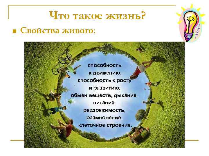 Что такое жизнь? n Свойства живого: способность к движению, способность к росту и развитию,