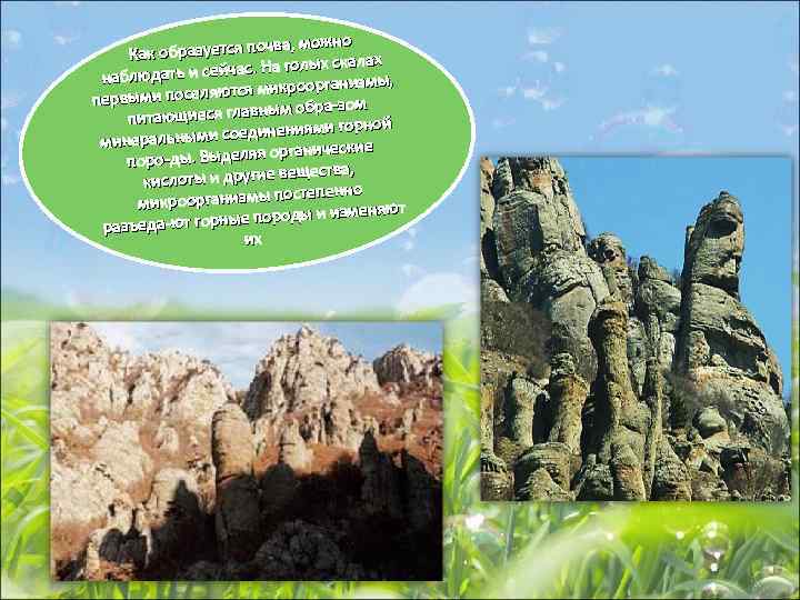 чва, можно Как образуется по лых скалах ать и сейчас. На го наблюд оорганизмы,