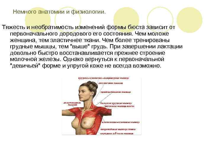 Немного анатомии и физиологии. Тяжесть и необратимость изменений формы бюста зависит от первоначального дородового