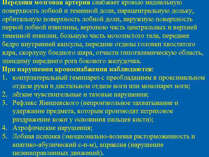 Передняя мозговая артерия снабжает кровью медиальную поверхность лобной и теменной доли, парацентральную дольку, орбитальную