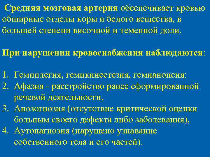 Средняя мозговая артерия обеспечивает кровью обширные отделы коры и белого вещества, в большей степени