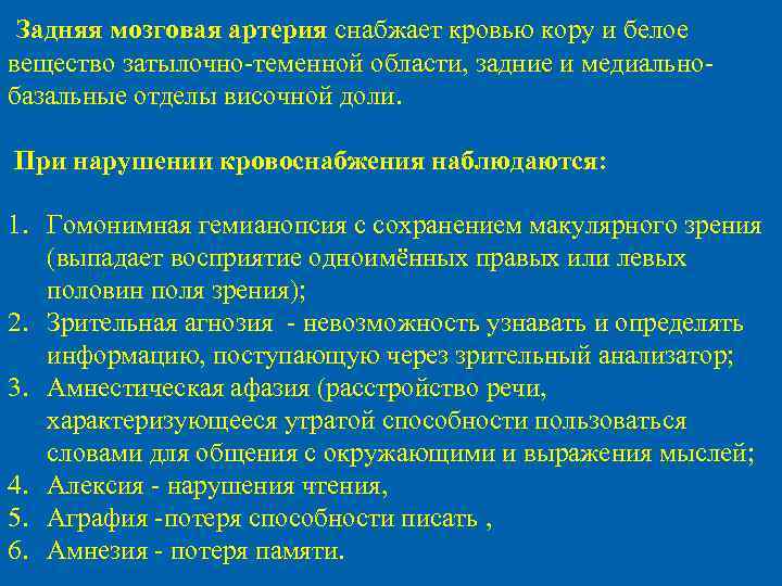  Задняя мозговая артерия снабжает кровью кору и белое вещество затылочно-теменной области, задние и