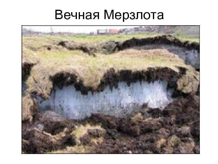 Вечная Мерзлота 