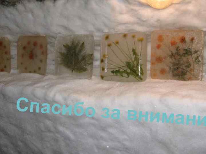 Спасибо за в нимани 