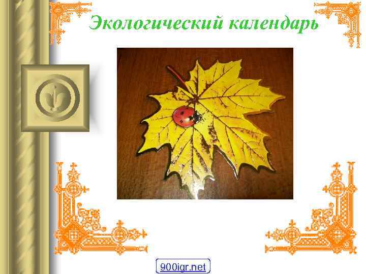 Экологический календарь 900 igr. net 