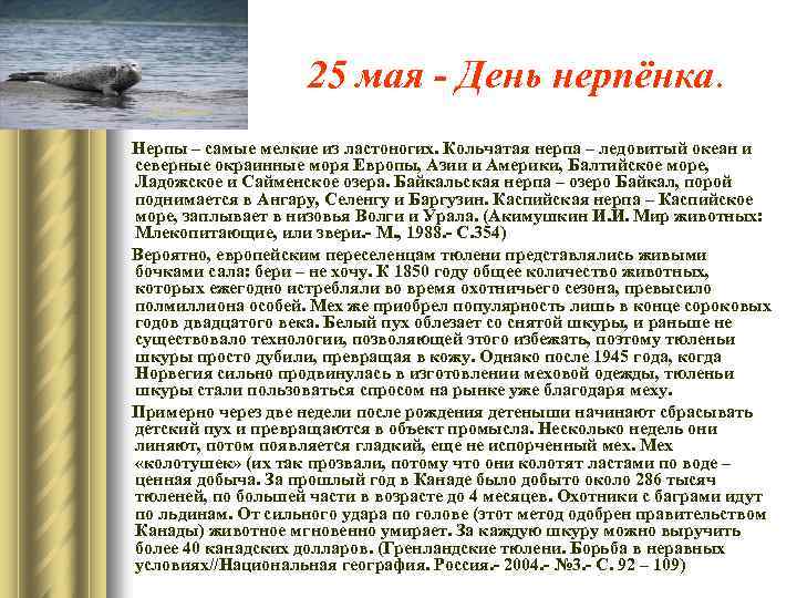 25 мая - День нерпёнка. Нерпы – самые мелкие из ластоногих. Кольчатая нерпа –