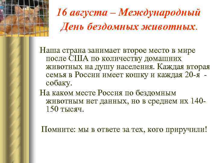 16 августа – Международный День бездомных животных. Наша страна занимает второе место в мире