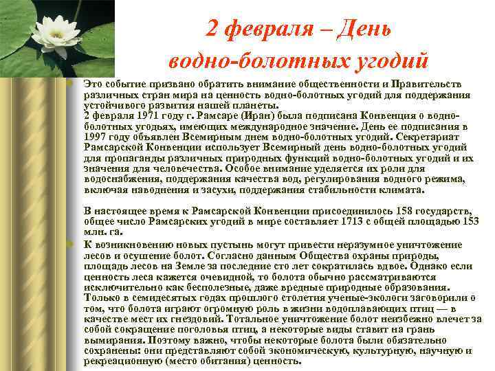2 февраля – День водно-болотных угодий l Это событие призвано обратить внимание общественности и