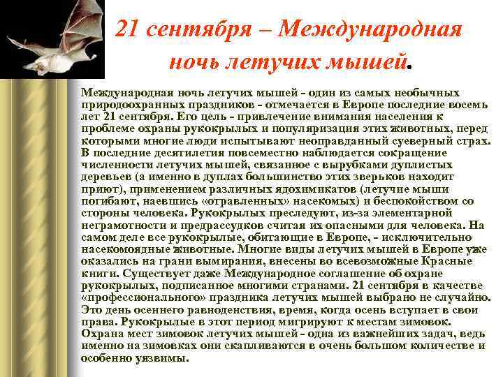 21 сентября – Международная ночь летучих мышей. Международная ночь летучих мышей - один из