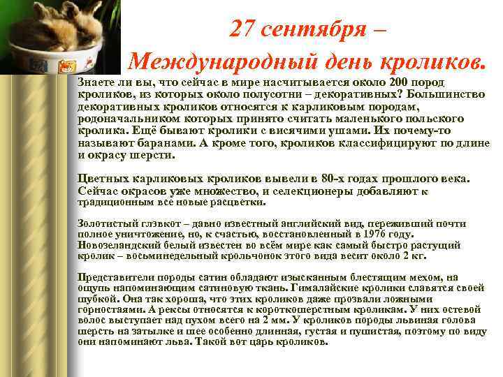 27 сентября – Международный день кроликов. Знаете ли вы, что сейчас в мире насчитывается