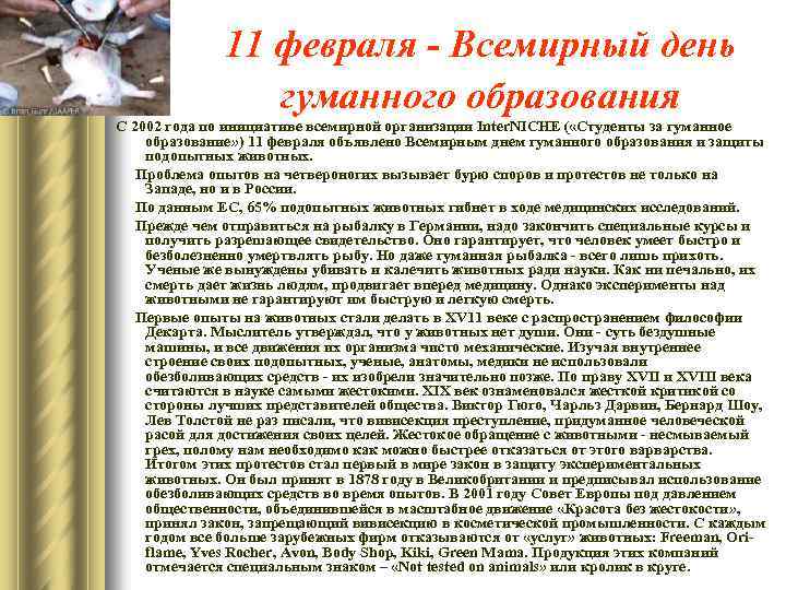 11 февраля - Всемирный день гуманного образования С 2002 года по инициативе всемирной организации