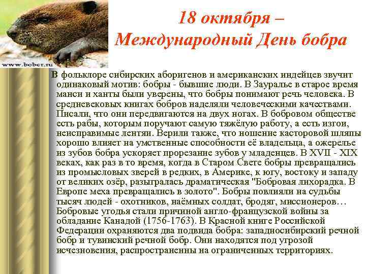 18 октября – Международный День бобра В фольклоре сибирских аборигенов и американских индейцев звучит