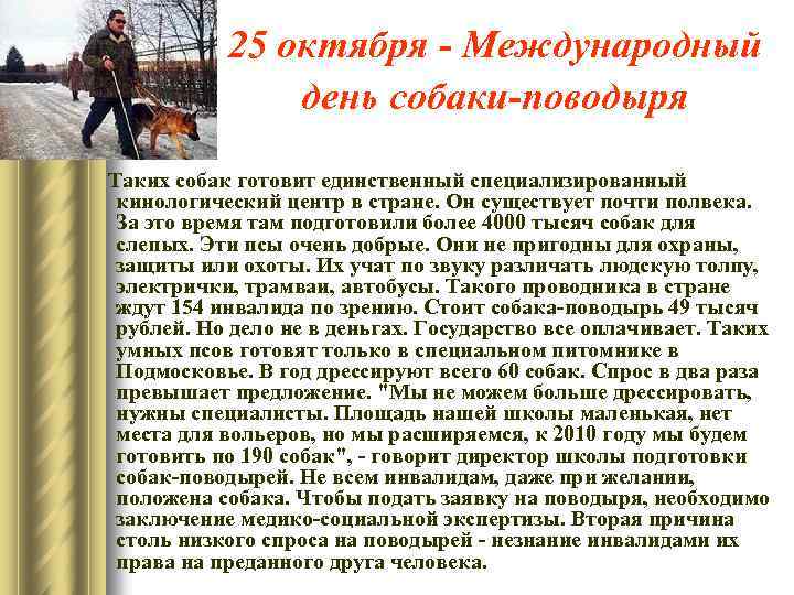 25 октября - Международный день собаки-поводыря Таких собак готовит единственный специализированный кинологический центр в