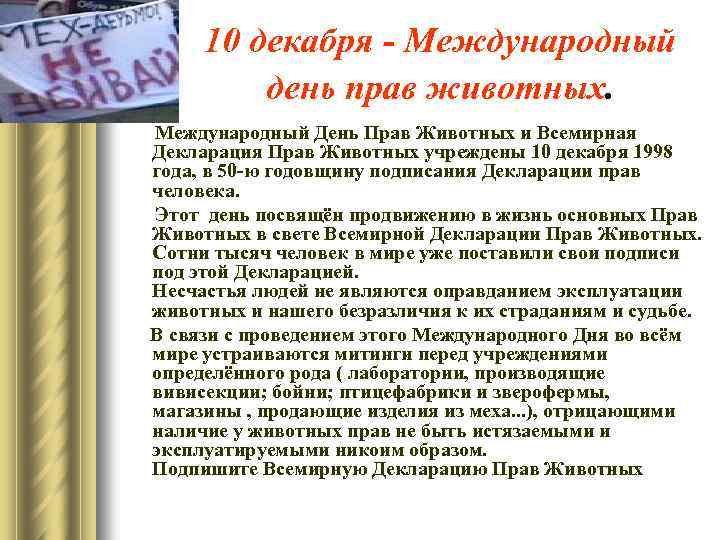 10 декабря - Международный день прав животных. Международный День Прав Животных и Всемирная Декларация