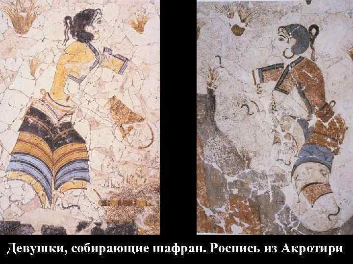 Девушки, собирающие шафран. Роспись из Акротири 