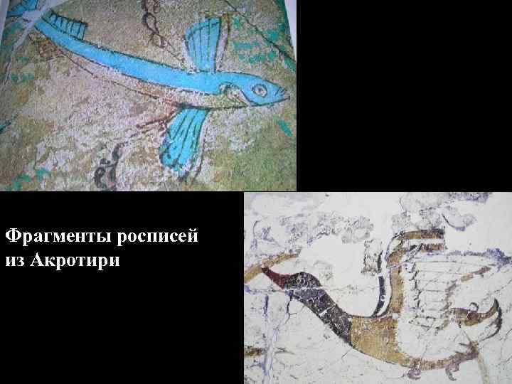 Фрагменты росписей из Акротири 