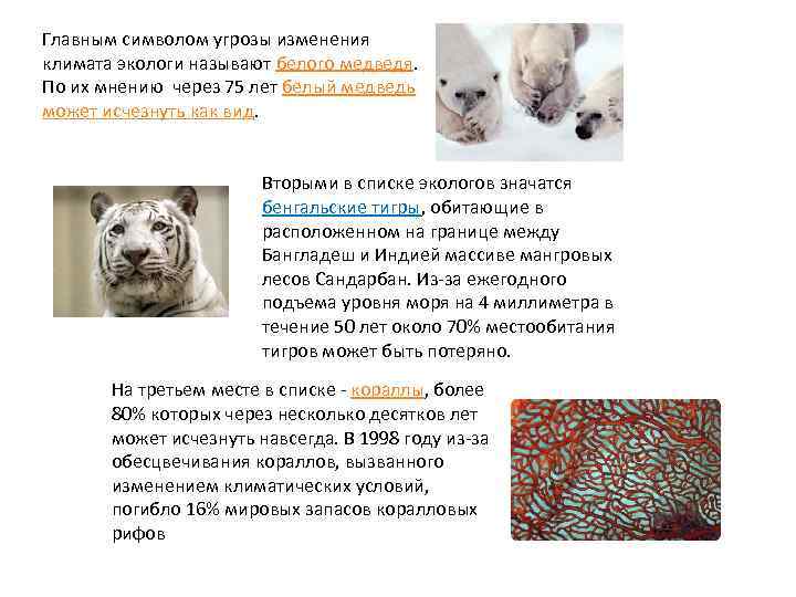 Главным символом угрозы изменения климата экологи называют белого медведя. По их мнению через 75