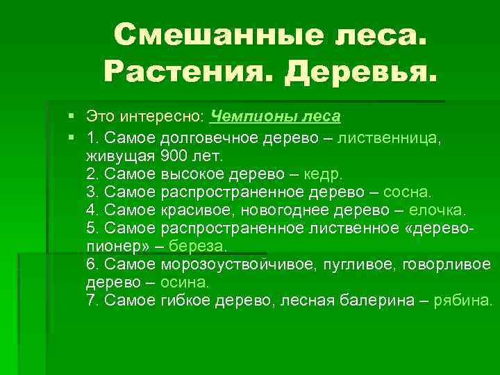 Смешанные леса. Растения. Деревья. § Это интересно: Чемпионы леса § 1. Самое долговечное дерево