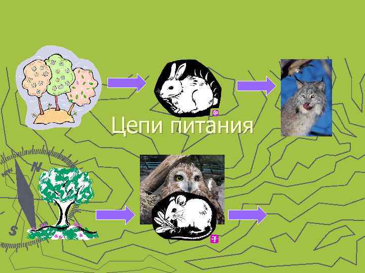 Цепи питания 