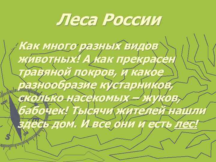 Леса России ►Как много разных видов животных! А как прекрасен травяной покров, и какое