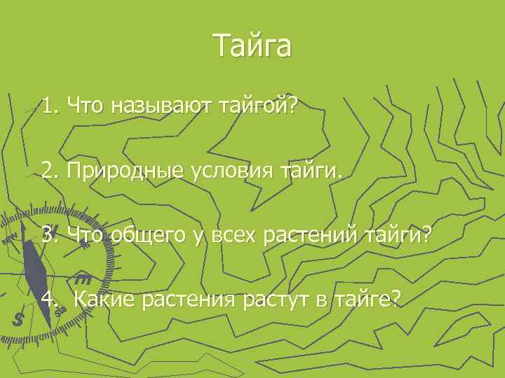Тайга ► 1. Что называют тайгой? ► 2. Природные условия тайги. ► 3. Что