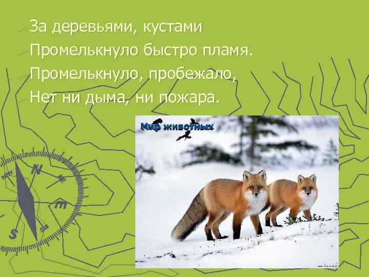 ► За деревьями, кустами ► Промелькнуло быстро пламя. ► Промелькнуло, пробежало, ► Нет ни