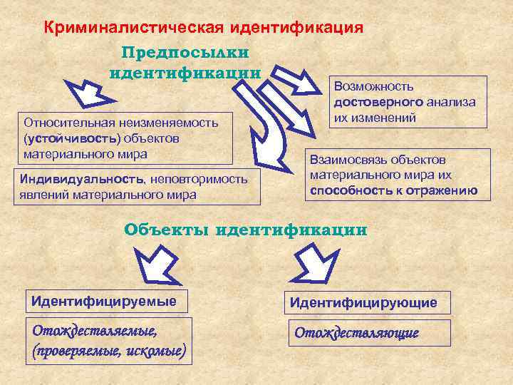 Этапы идентификационного исследования в криминалистике схема