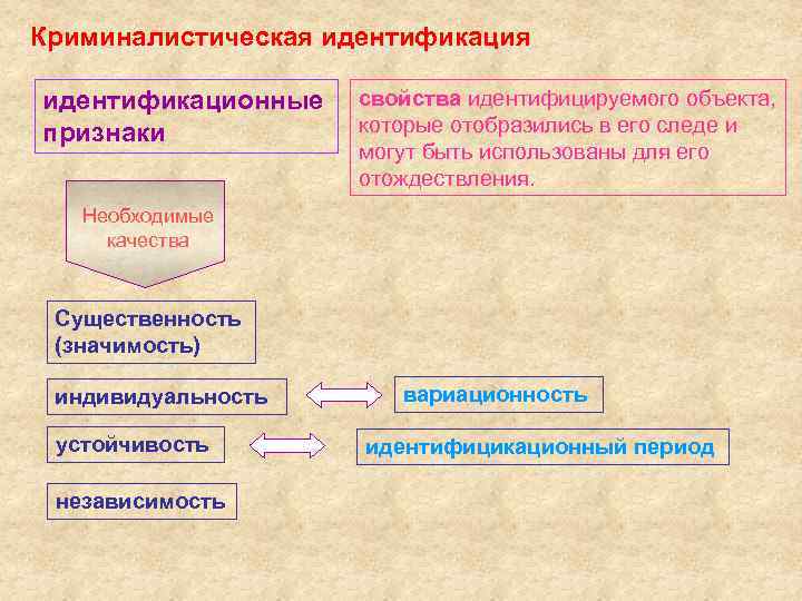 Идентификация в криминалистике