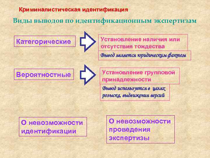 Виды образцов криминалистика