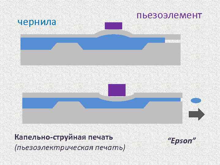 чернила Капельно-струйная печать (пьезоэлектрическая печать) пьезоэлемент “Epson” 