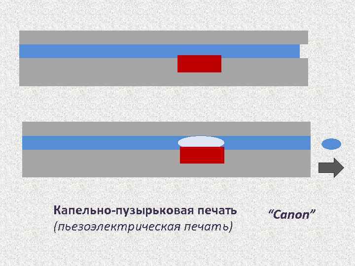 Капельно-пузырьковая печать (пьезоэлектрическая печать) “Canon” 