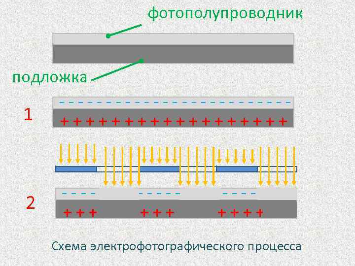 фотополупроводник подложка ------------1 +++++++++ 2 ------------+++++++++ Схема электрофотографического процесса 