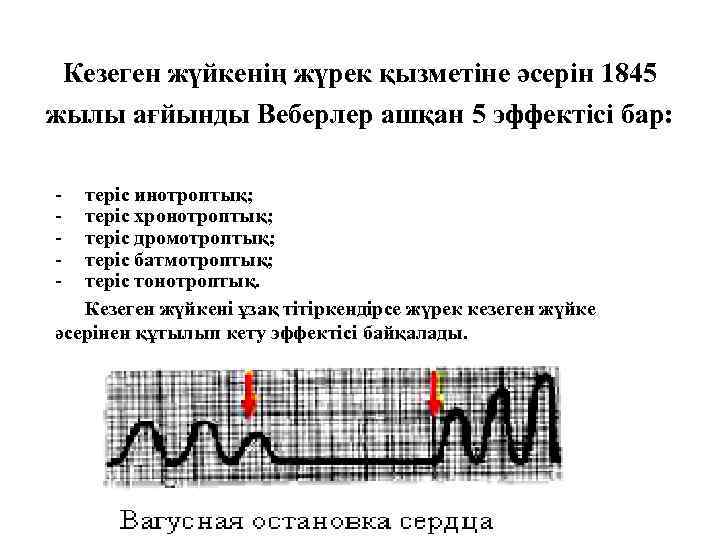 Кезеген жүйкенің жүрек қызметіне әсерін 1845 жылы ағйынды Веберлер ашқан 5 эффектісі бар: -