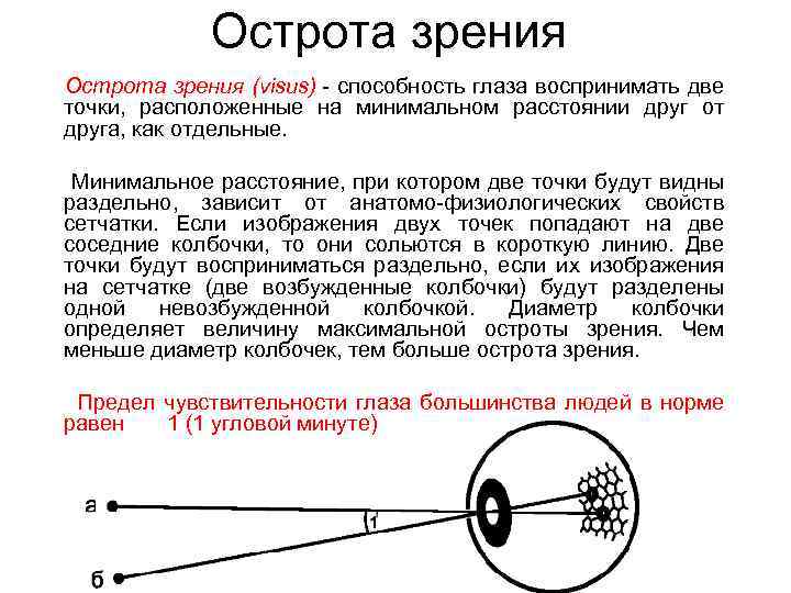 Острота зрения (visus) - способность глаза воспринимать две точки, расположенные на минимальном расстоянии друг