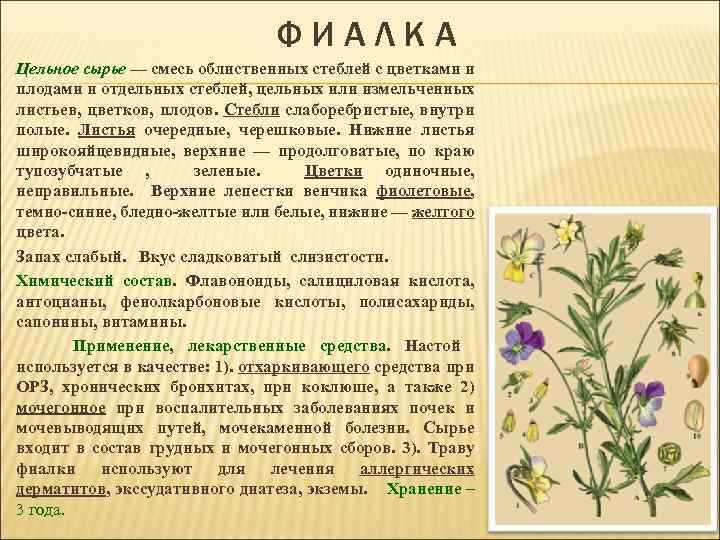 ФИАЛКА Цельное сырье — смесь облиственных стеблей с цветками и плодами и отдельных стеблей,