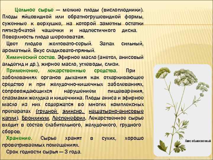 Цельное сырье — мелкие плоды (вислоплодники). Плоды яйцевидной или обратногрушевидной формы, суженные к верхушке,