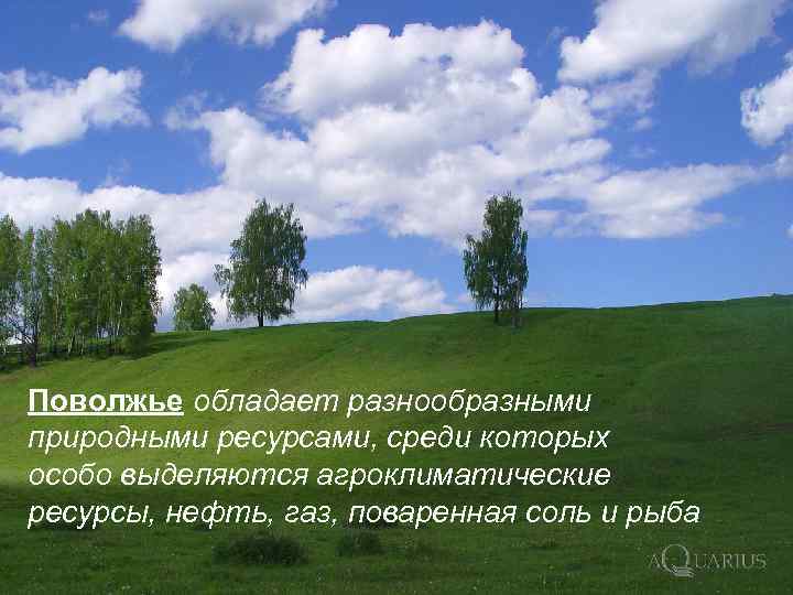 Поволжье обладает разнообразными природными ресурсами, среди которых особо выделяются агроклиматические ресурсы, нефть, газ, поваренная